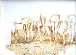 Atelier BORDAS, Lavis sepia