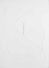 Alberto VIANI, La Chevelure