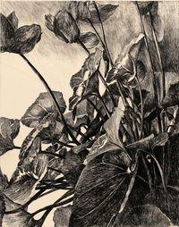 Serena CONTI, Silenzio