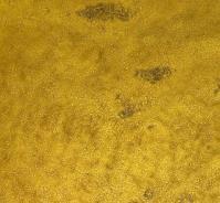 Raymundo SESMA, senza titolo