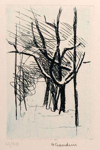 Gino GANDINI, Alberi con la neve