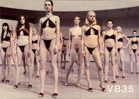 Vanessa BEECROFT, Senza titolo VB35
