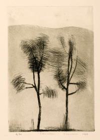 Gino GANDINI, I due alberi