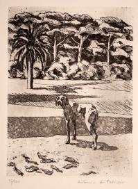 Antonio DI FABRIZIO, La mia terra Abruzzo