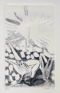 Bruno SAETTI, Sole sui cigni