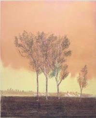 Daniel LANG, Break of the day