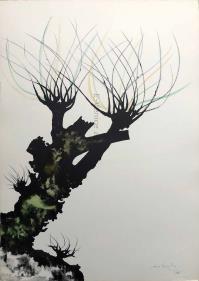 Carlo MATTIOLI, Gli alberi II (dalla cartella acquarellata)