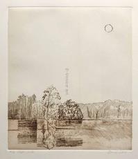 Daniel LANG, Moon lake