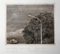 Sandro LUPORINI, Viareggio