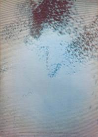 Rosemarie TROCKEL, Alla galleria Lucio Amelio