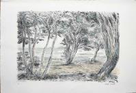 litografia  originale firmata. - tiratura: 125. - su carta cotone Magnani di Pescia con filigrana Graphis Arte 45 x 65,5 cm. -  timbro a secco Graphis Arte Livorno in basso a destra