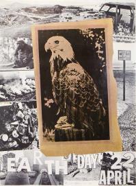 Robert RAUSCHENBERG, Earth day