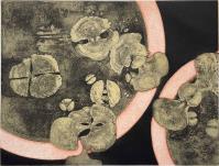 Leonardo CREMONINI, Germinazione circoscritta