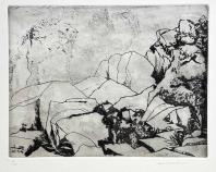 Dante  ZAMBONI, I monti pallidi