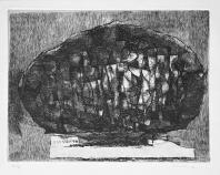 Enzo BRUNORI, Ombra diffusa