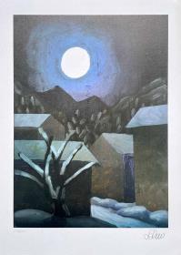 SALVO MANGIONE, Notturno